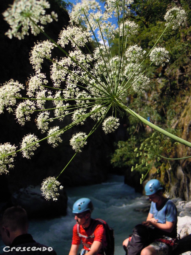 Via ferrata des vigneaux - sortie initiation à sportif