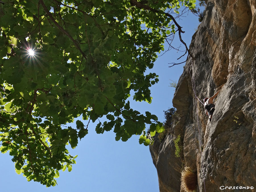 Verdon Lycée - moniteur d'escalade verdon