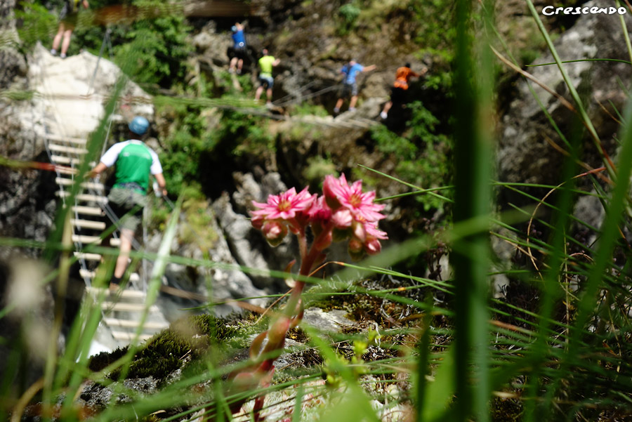 Via Ferrata Canyoning dans les Hautes-Alpes
