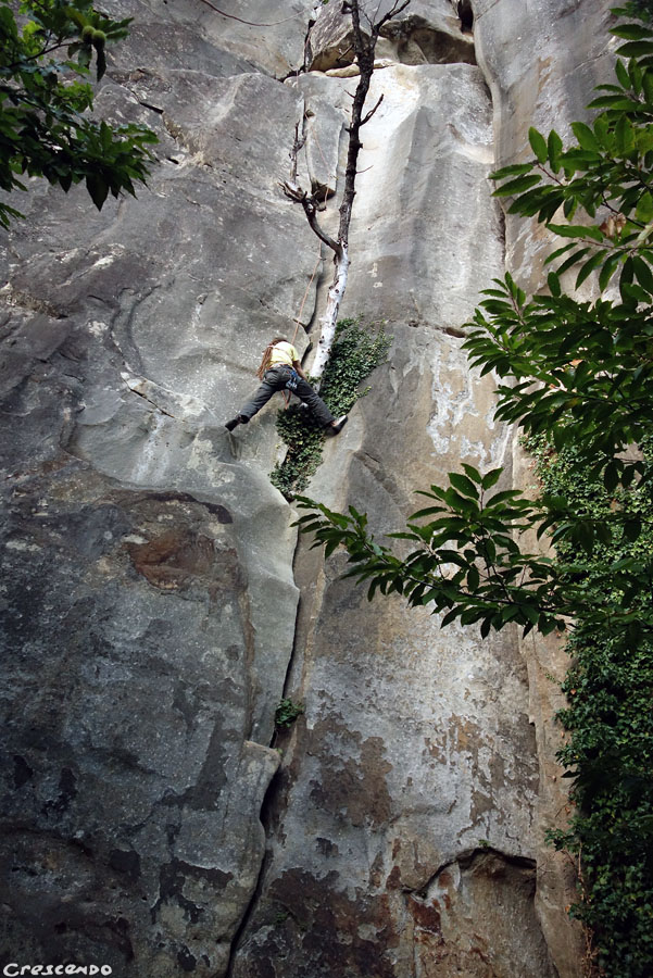 l'escalad etrad, stage d'escalade, trad