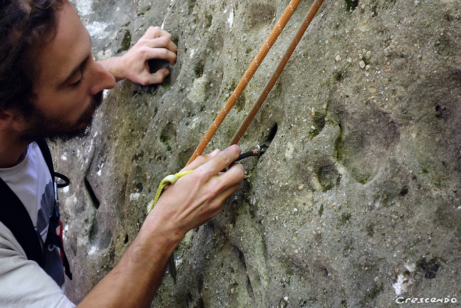 Aliens, friends, camalot, totem cams