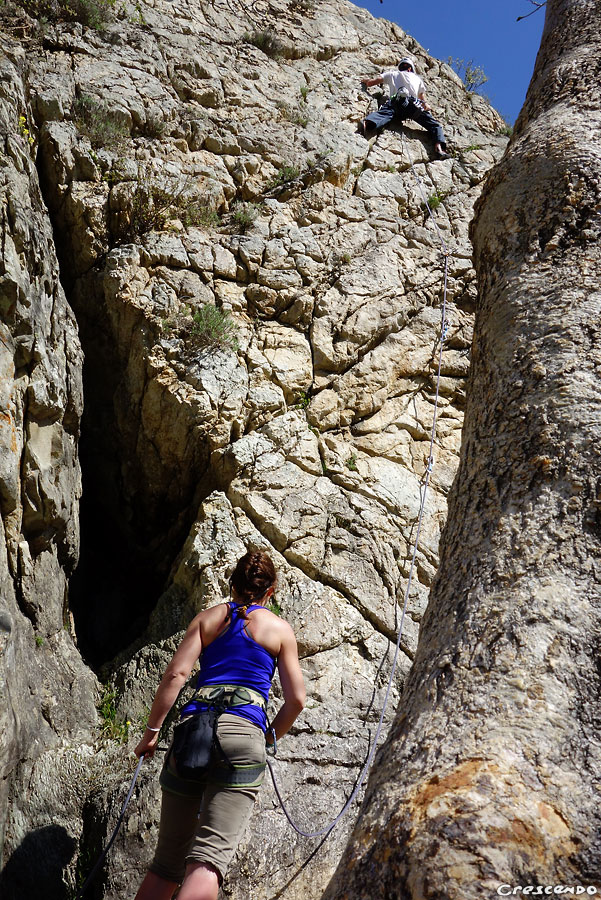 apprendre l'escalade, escalade en falaise, Rocher Baron, escalade Guillestre