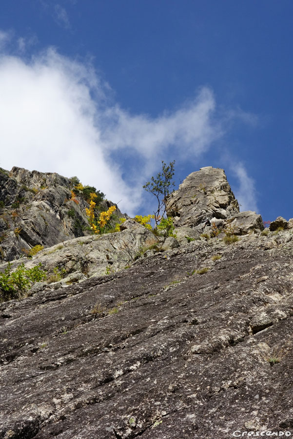 Pilier du Levant, Ailefroide escalade
