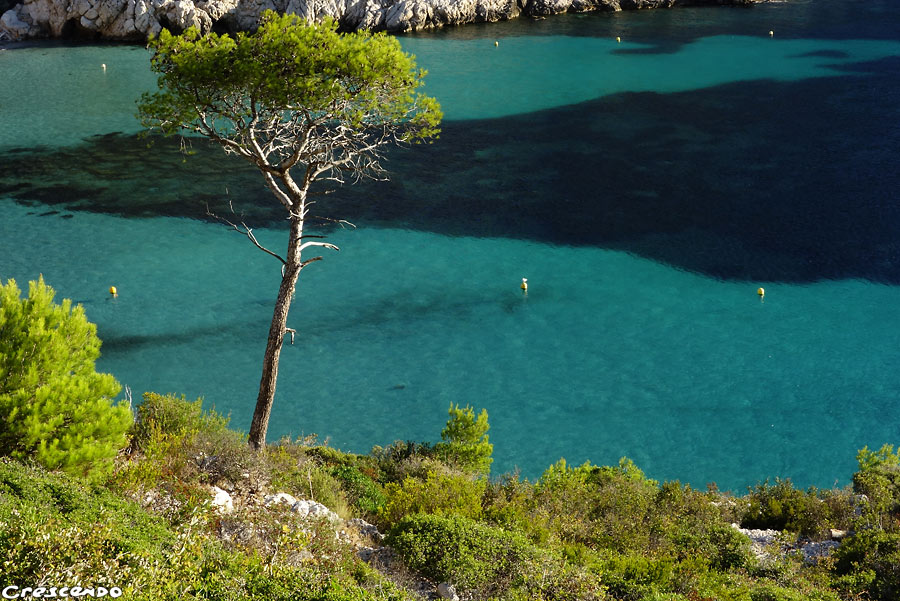 Calanques de Sormiou, escacalde Calanques, decouverte escalade