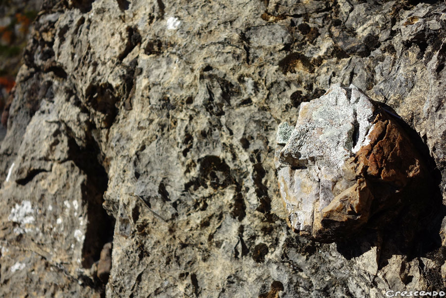 rocher des falaises, calacaire des Hautes-Alpes