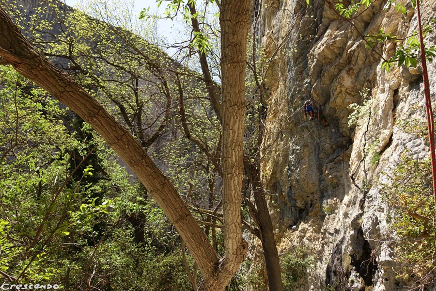 falaise d'ombleze, escalade à Ombleze