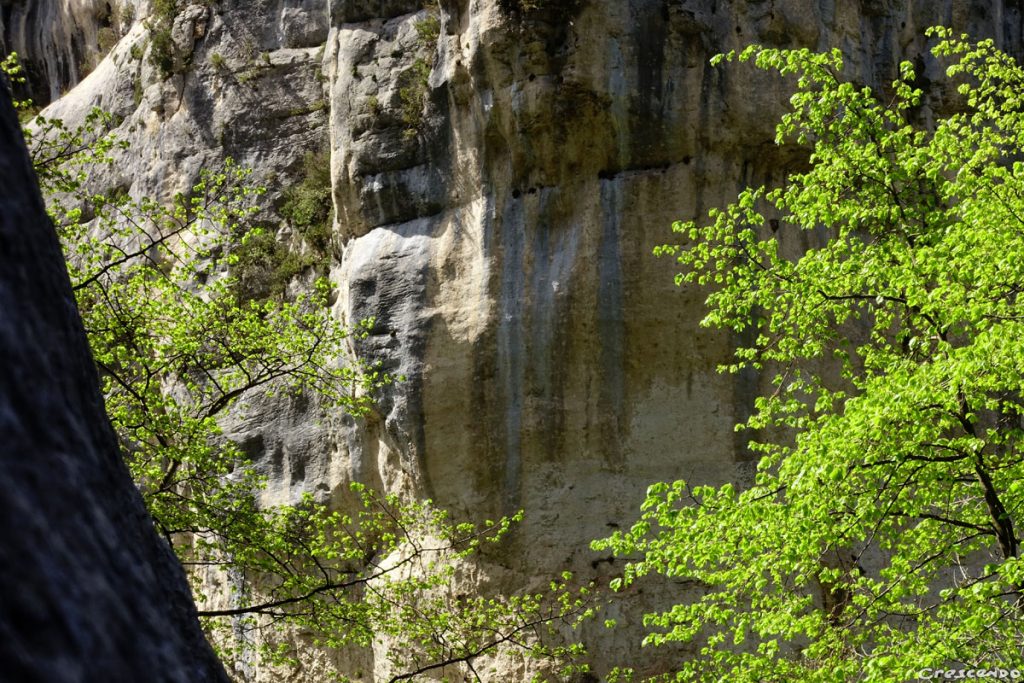 escalade à Omblèze