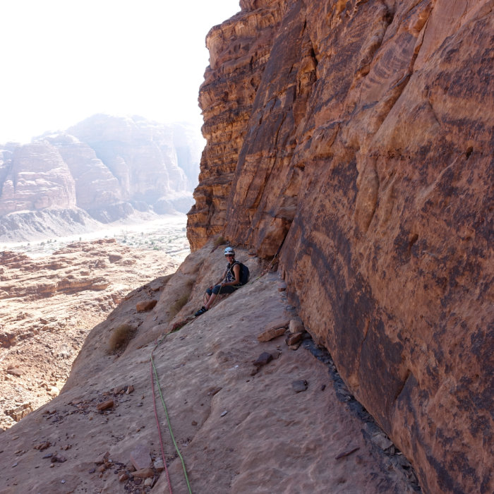 griper au Wadi Rum
