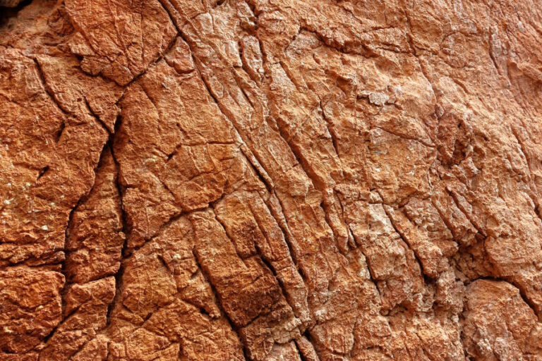 escalade dans les Ecrins, Stage escalade adulte