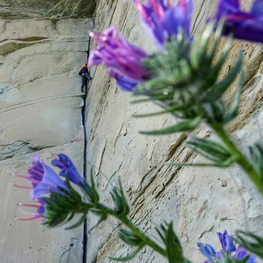 stage escalade trad, terrain d'aventure